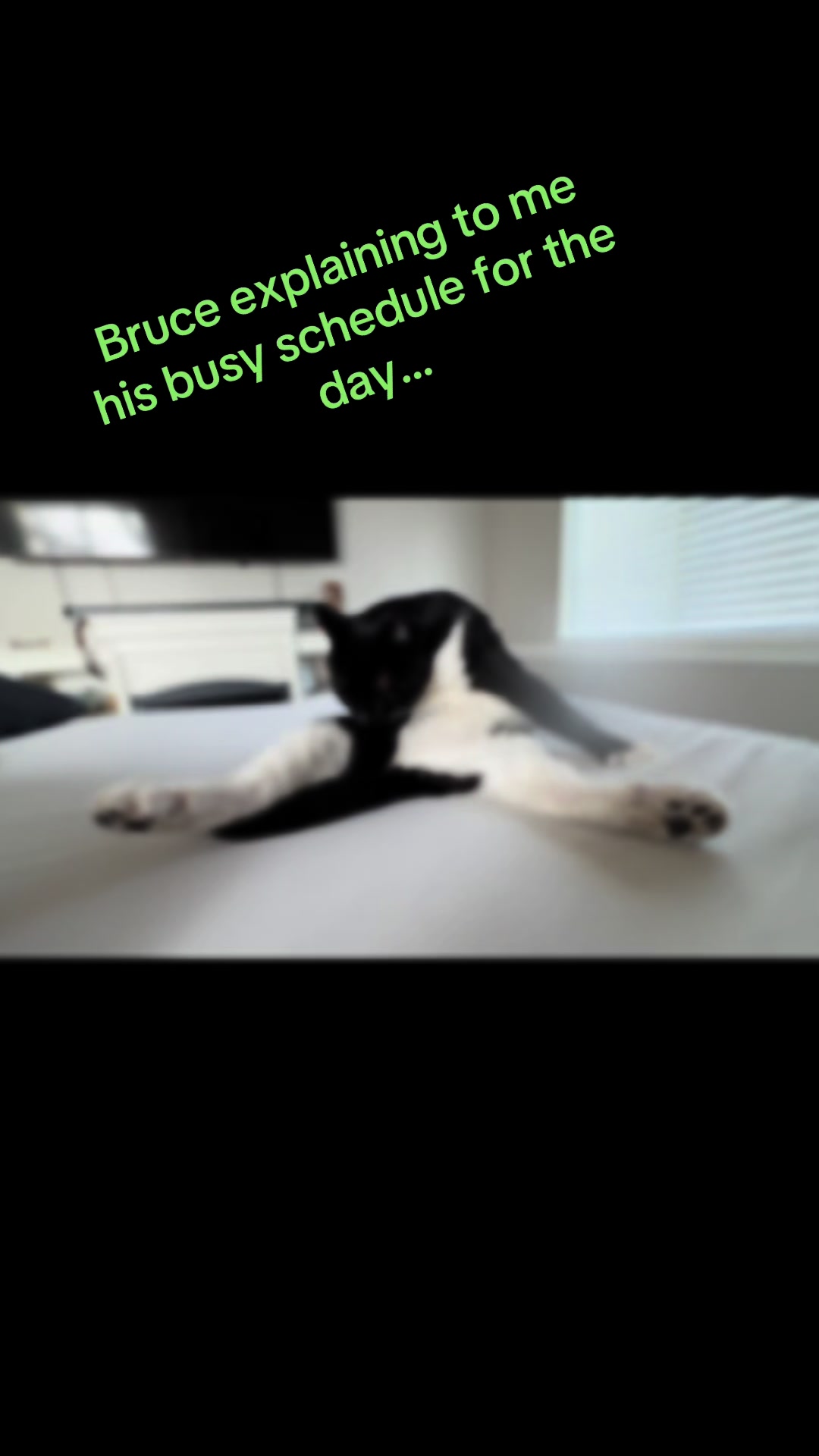 @Swenson50