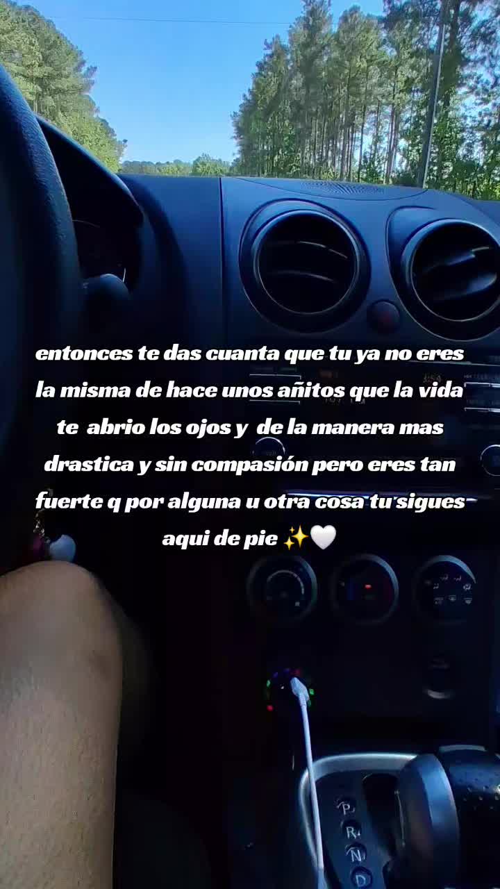 @🐚noyolarodriguez