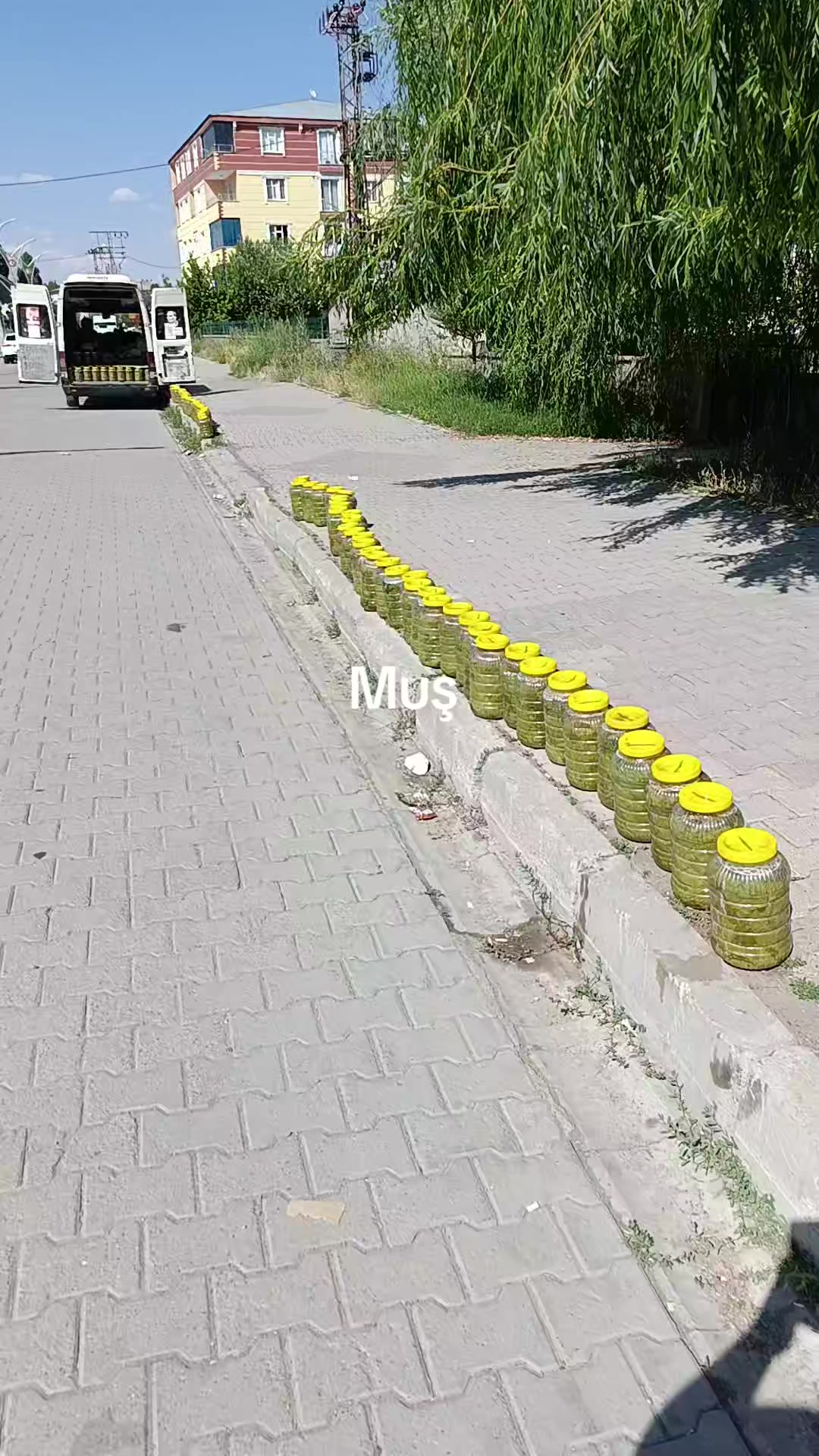 @DADALOĞLU