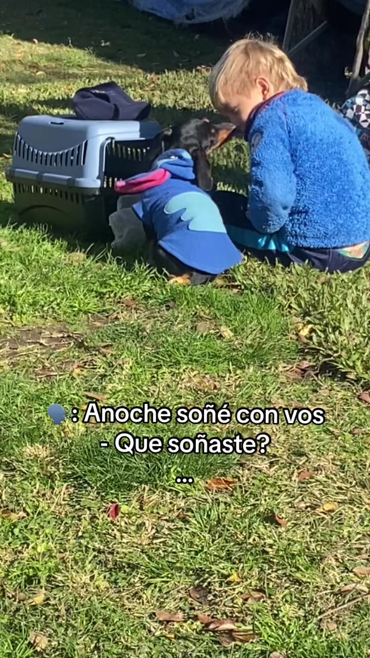 @Kaaty💙