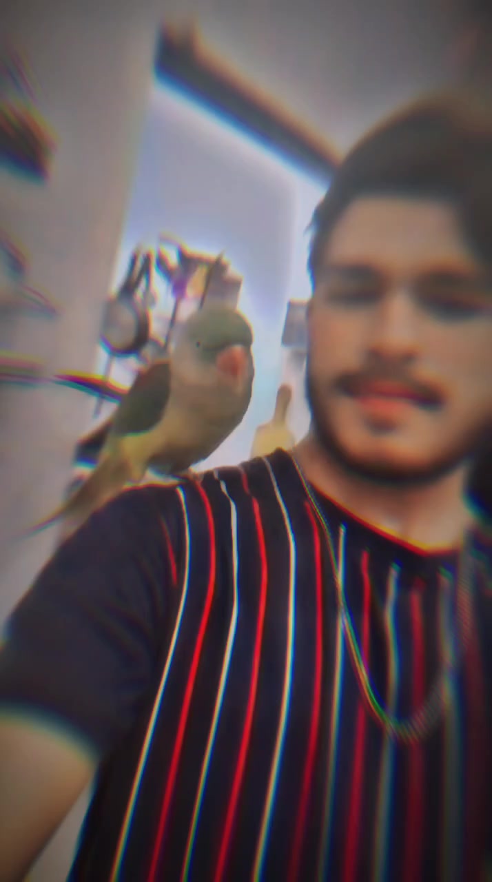 @akmalrajput 👑