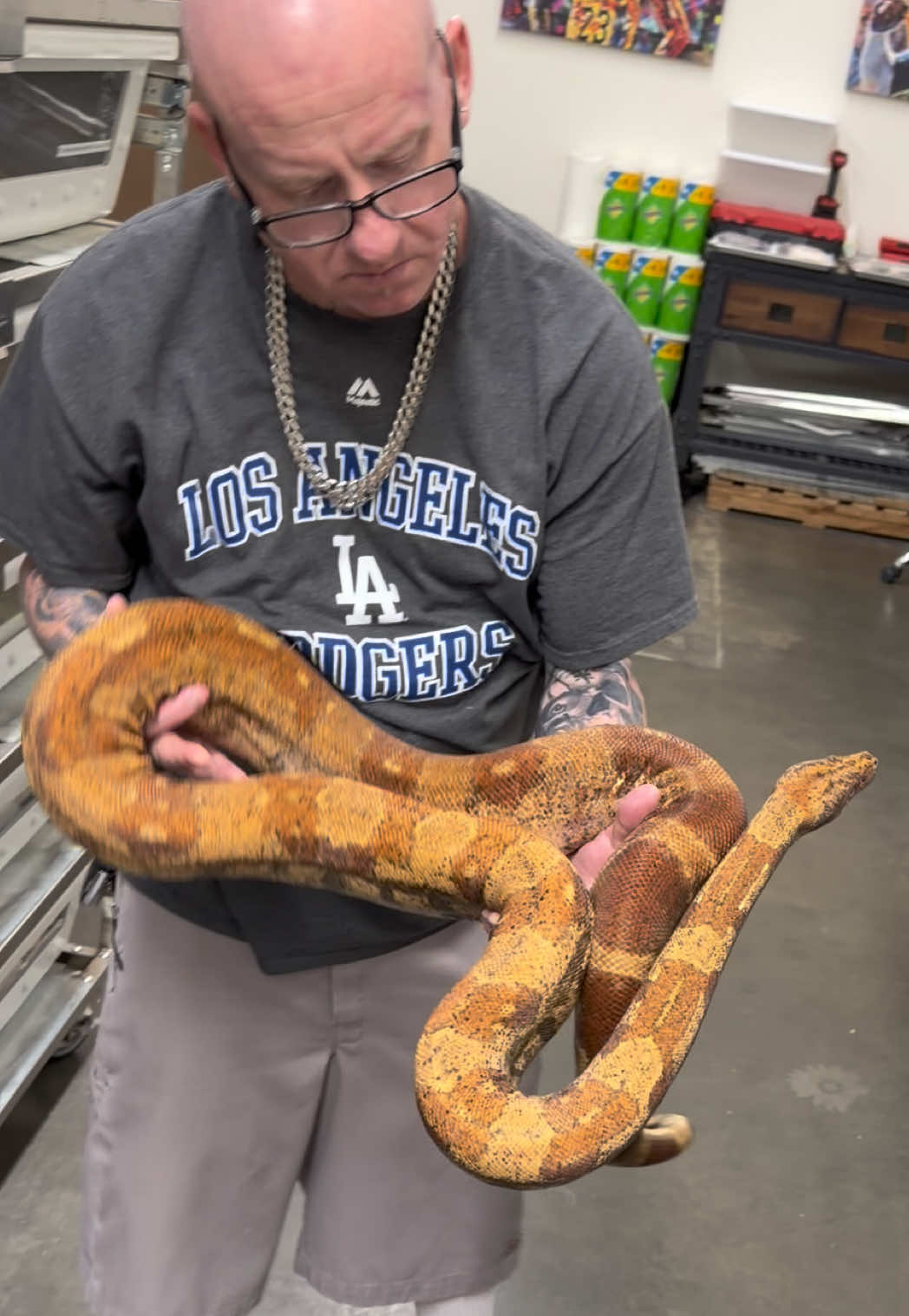 @Snake Country