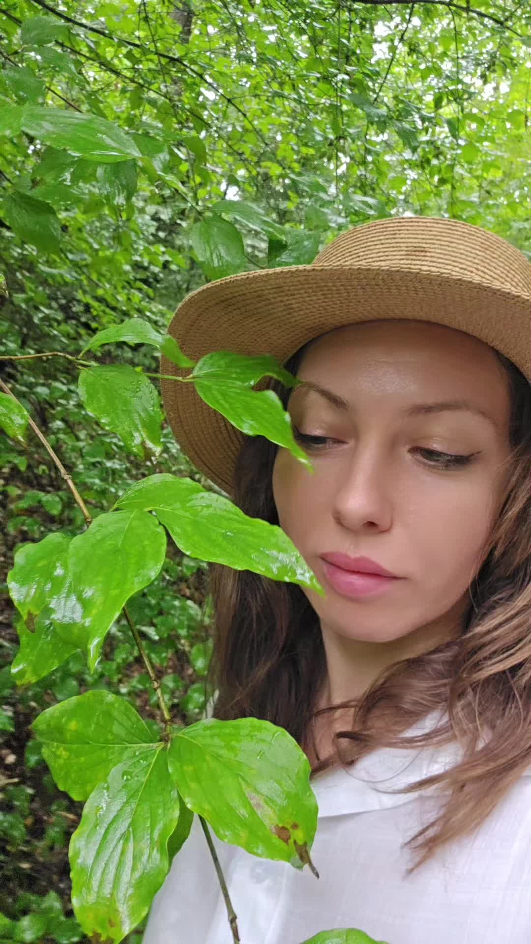 @🐾 Дикая Амазонка👣