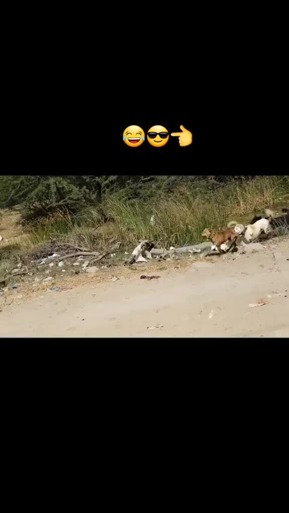 @🇵🇰🇵🇰🥀🥀🥀SS.....SS🥀🥀S💯
