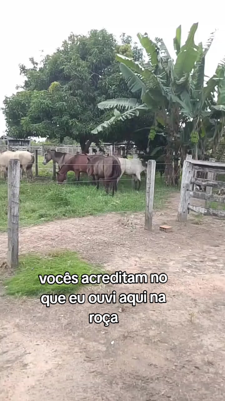 @Menina&Da roça🤠