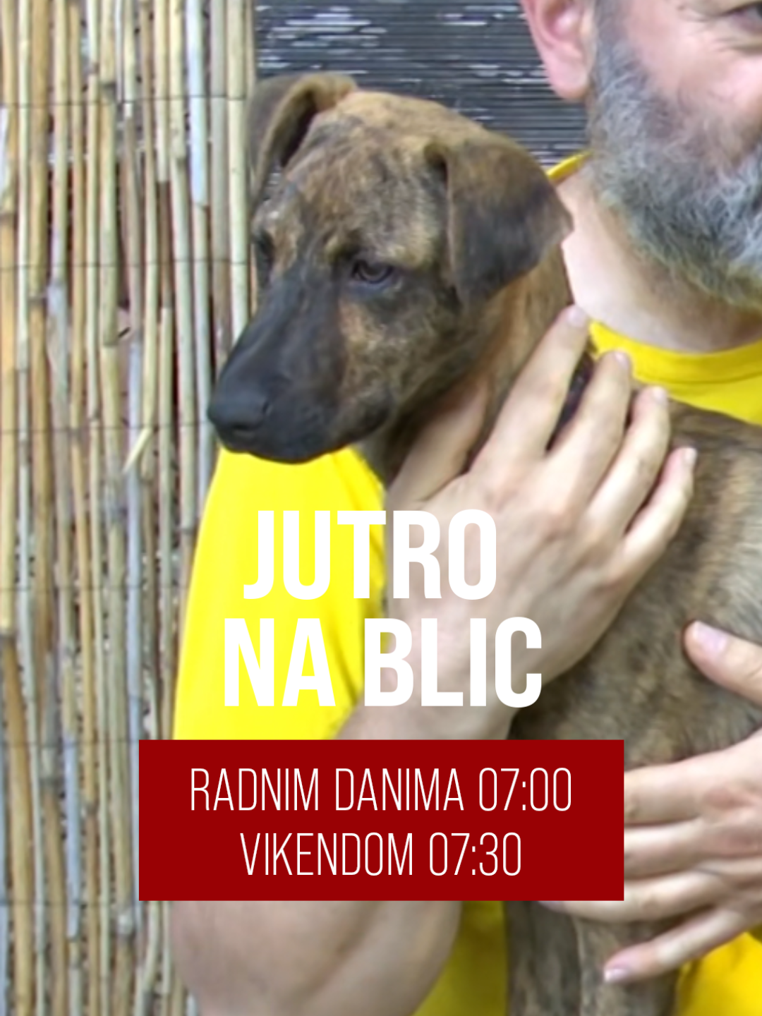 @Blic TV