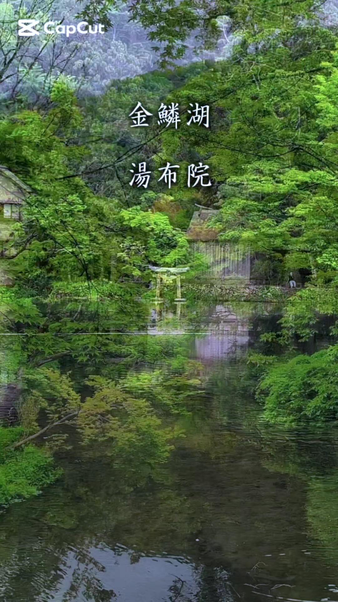 @のりのすけ【京都】