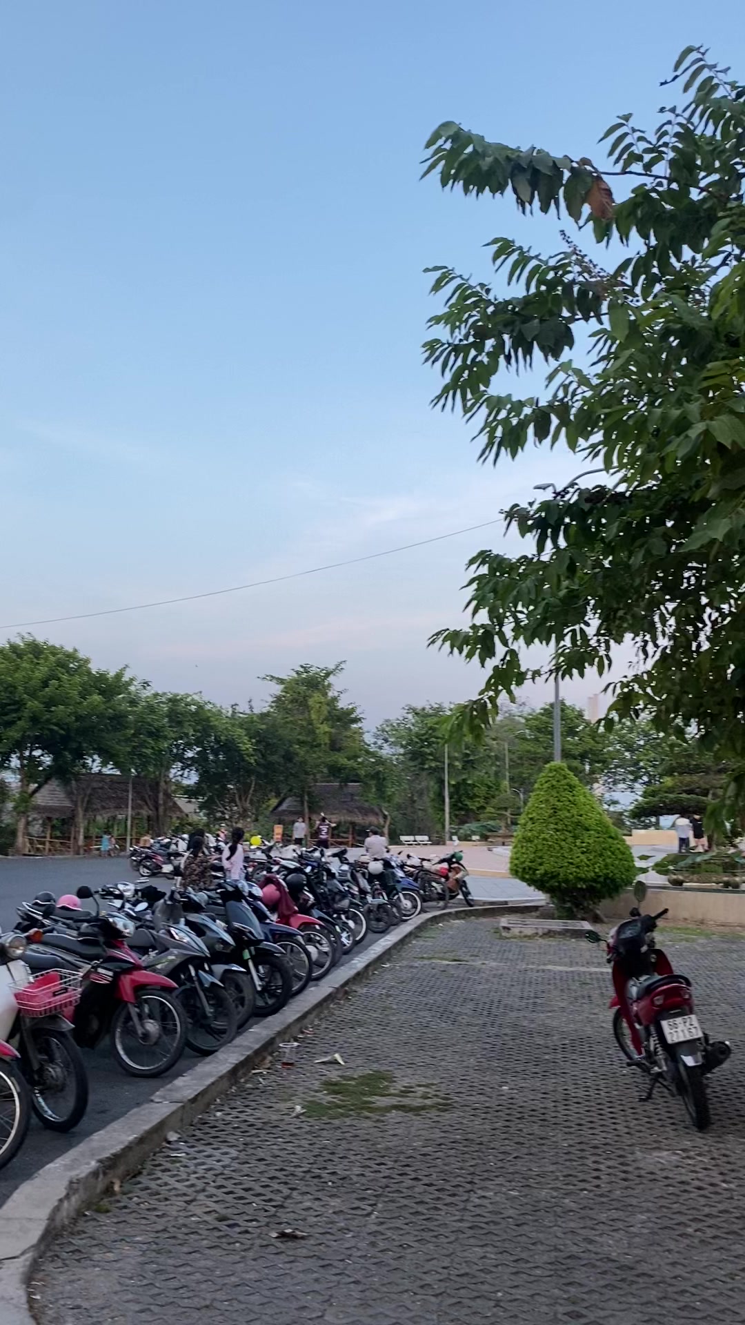 @B&iacute;ch Tr&acirc;m