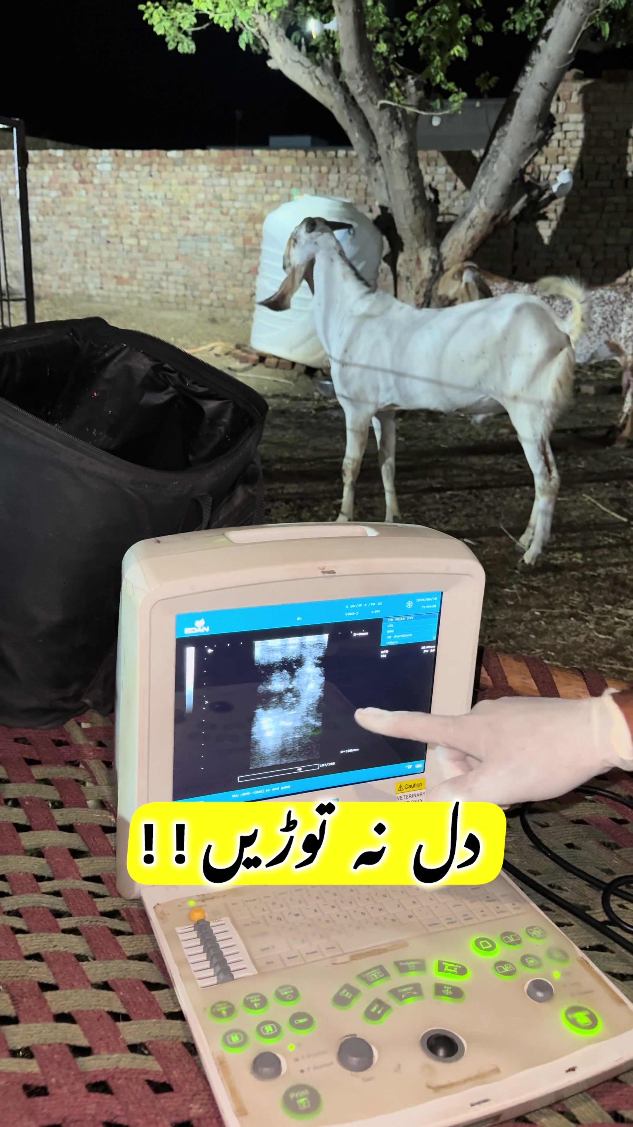@Dr.Mohsin