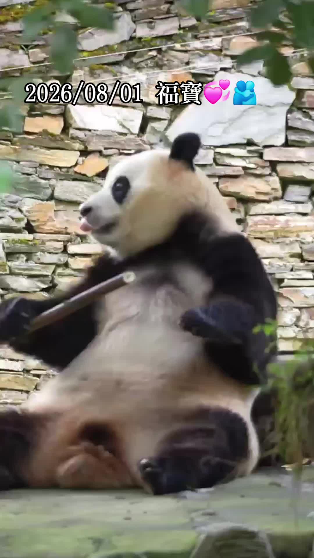 @福寶需要愛的抱抱