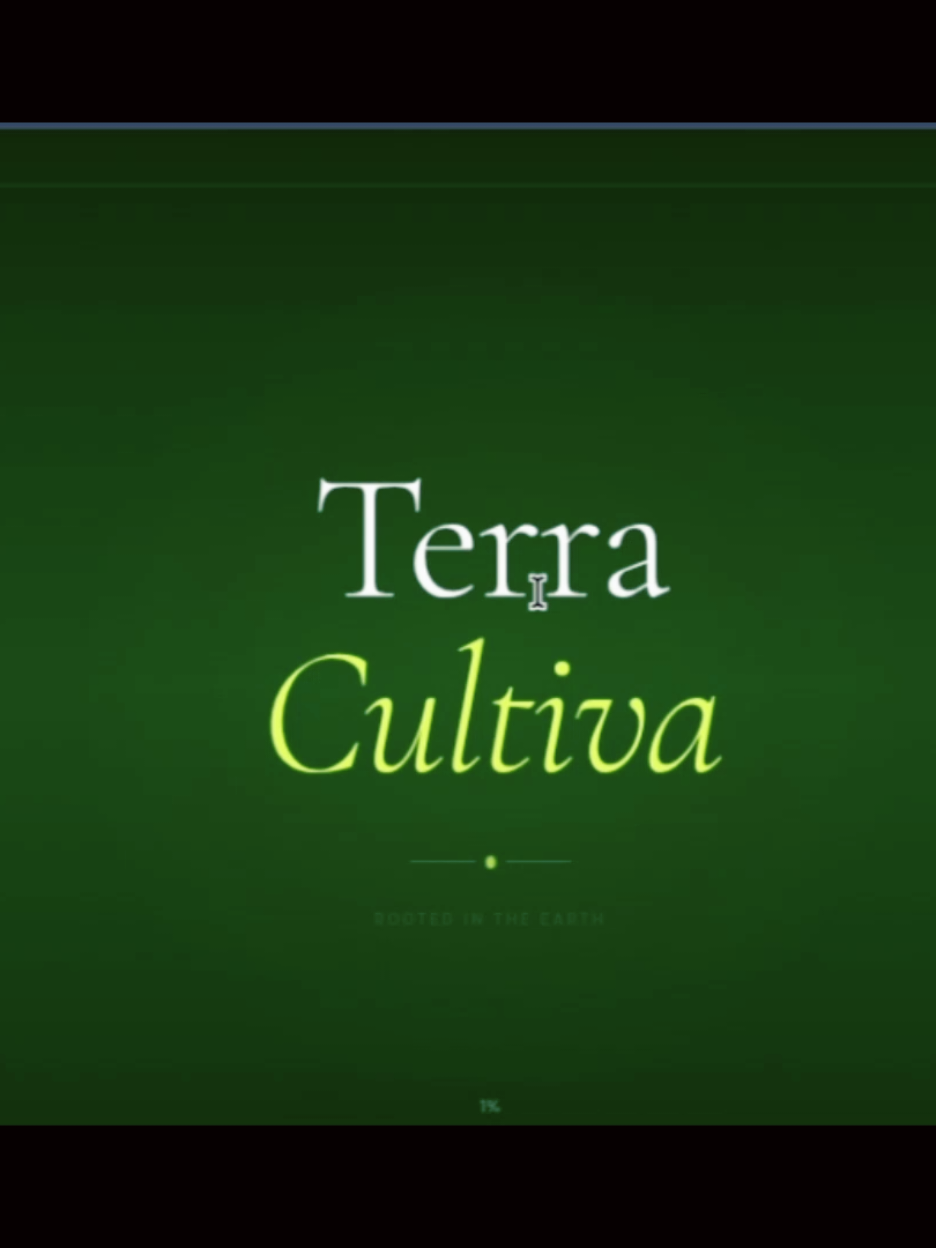 @Toopay  Bikin Web & Joki Tugas