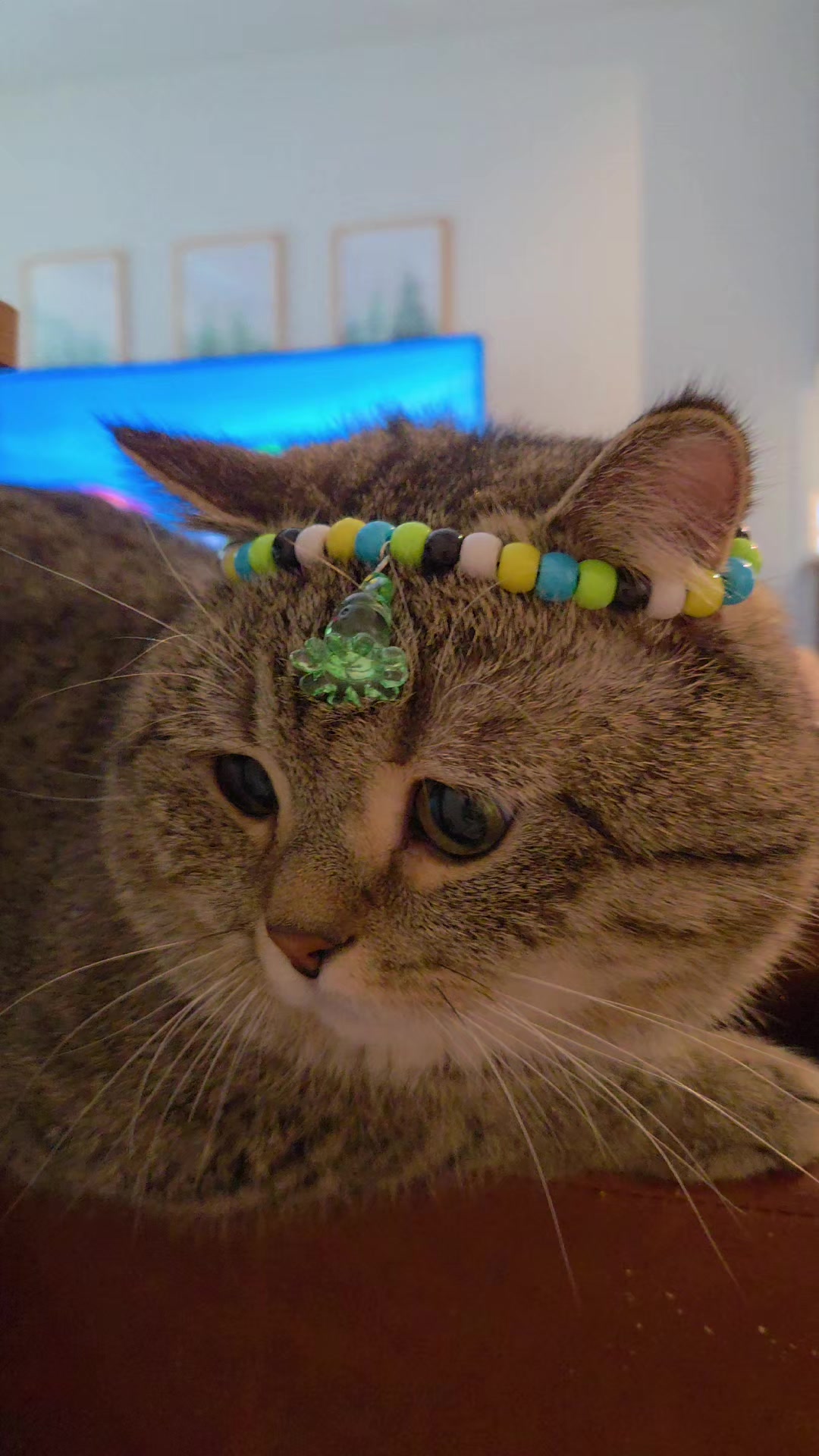 @Luka