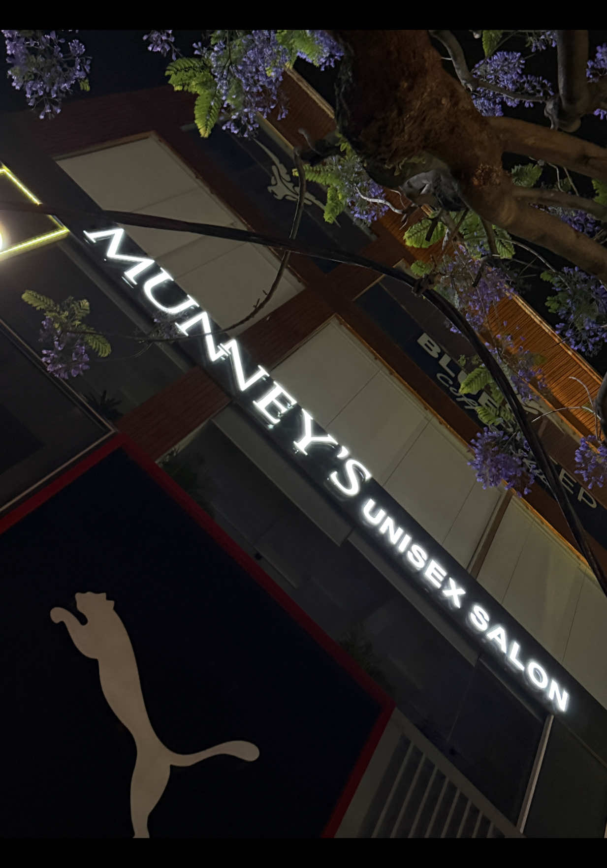 @Munney salon