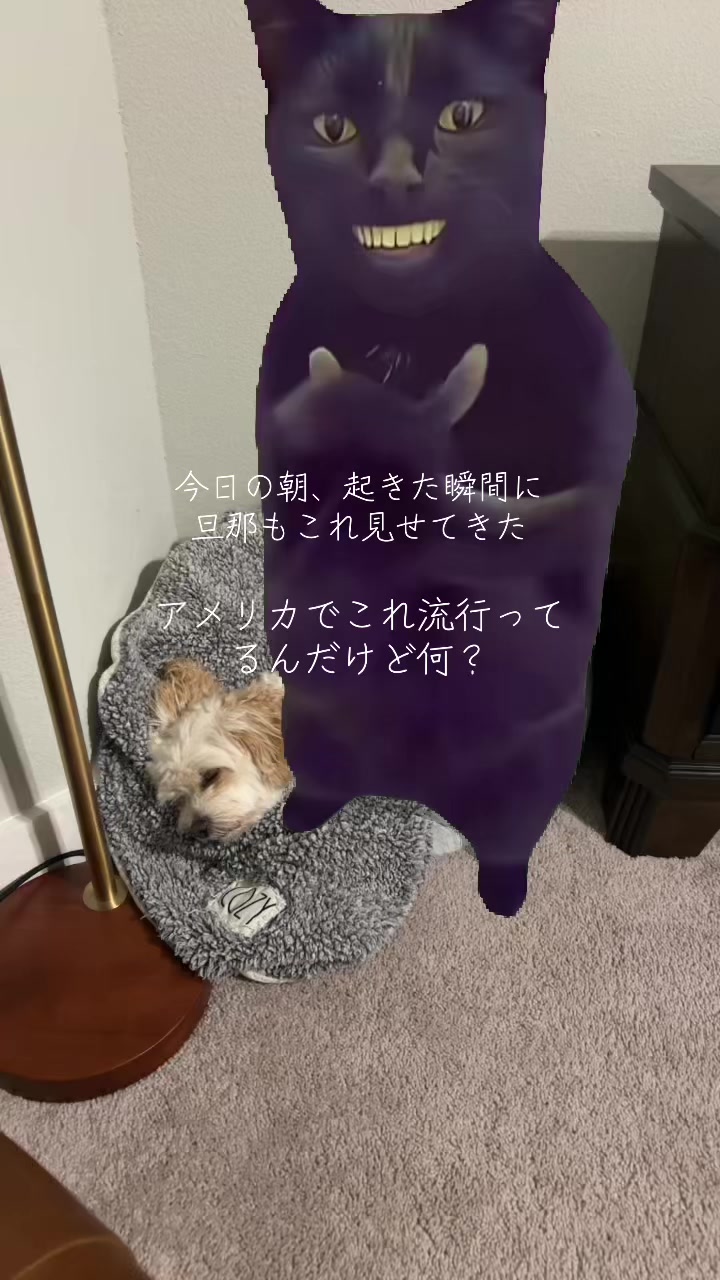@結婚アメリカ生活👦🏼👩🏻