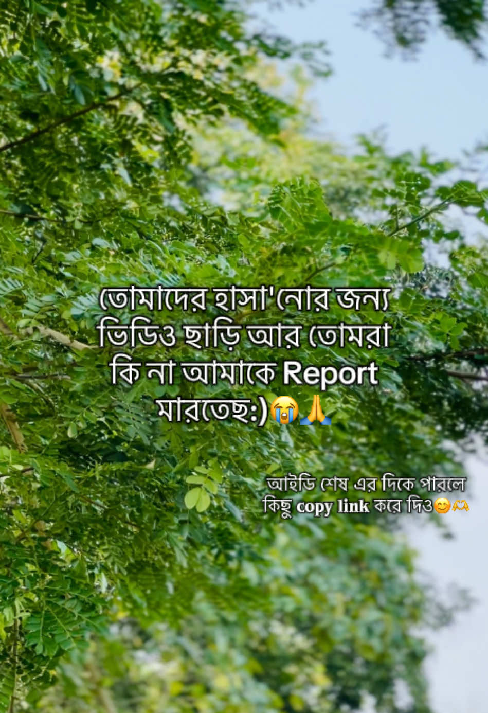 @টিক_টকি 🐸