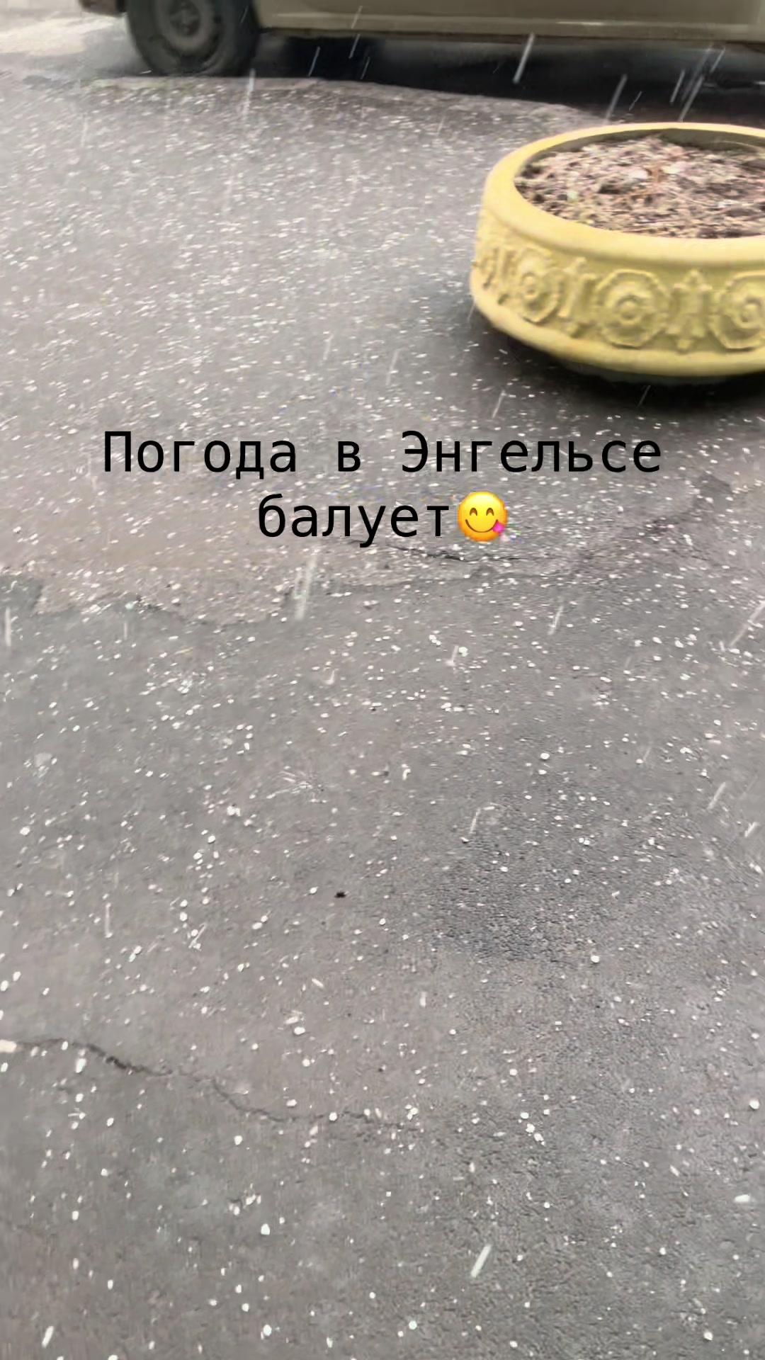 @Тгк:ZH&Z#амбреллавип