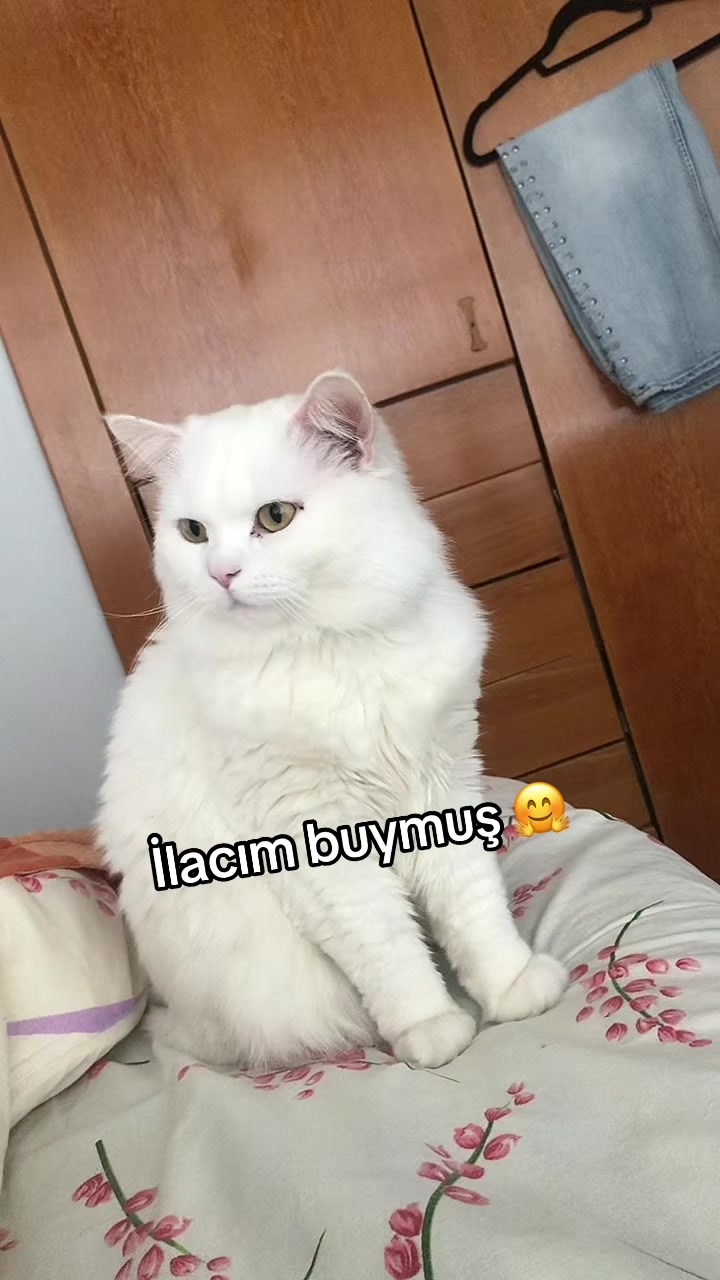 @Neşe