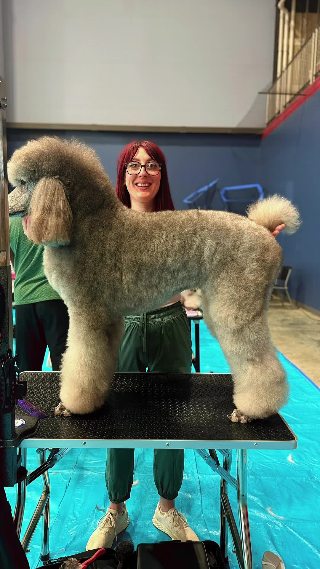 @JGlow 📚 | Glow Up Grooming 🐩