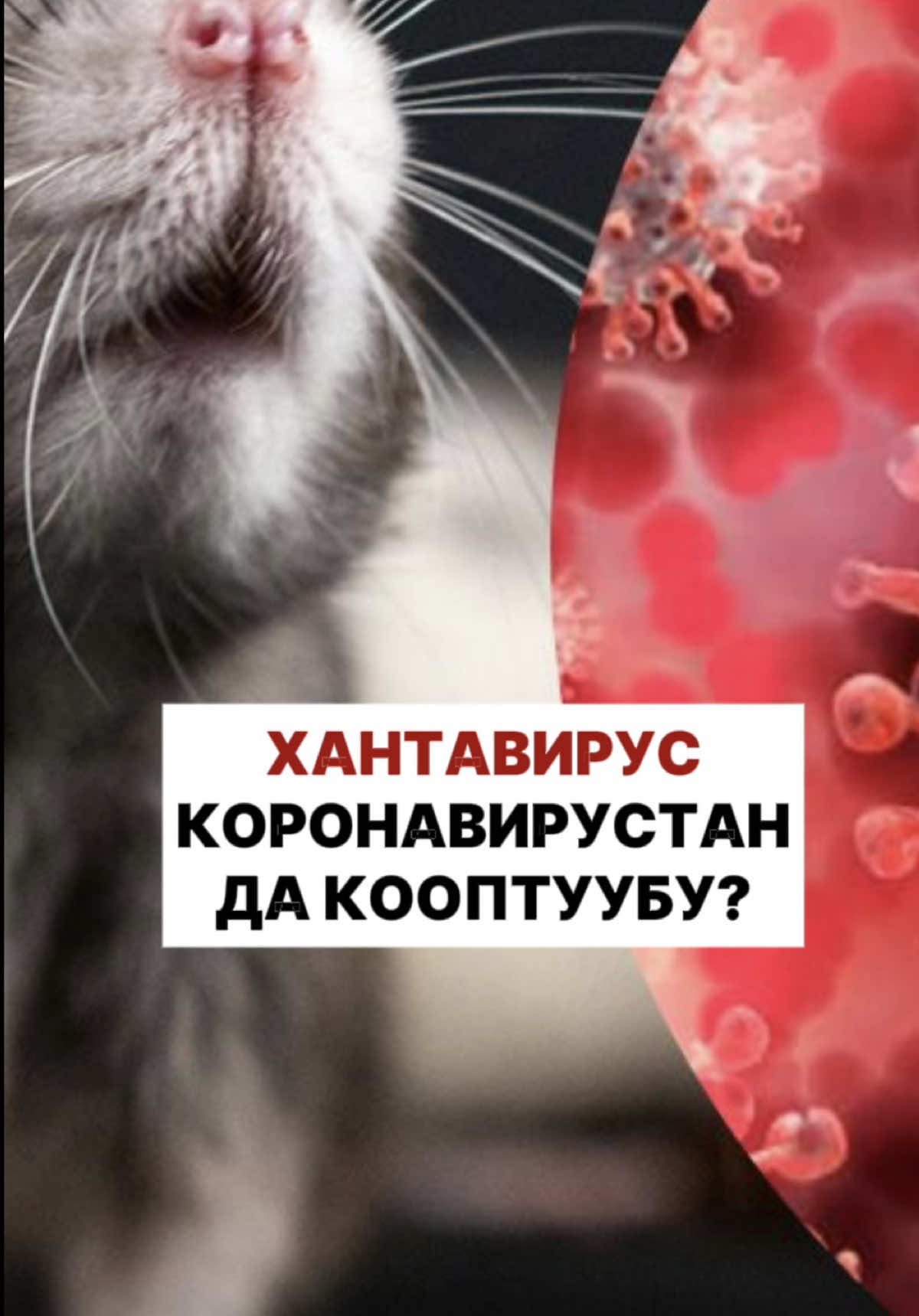 @politklinika