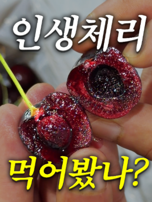 @해운대송사장