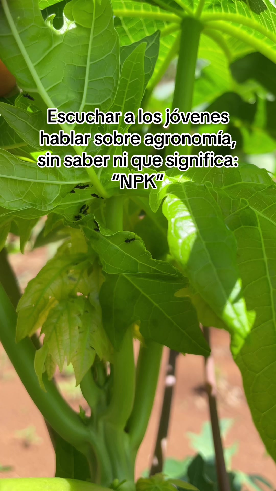 @La del Agro 👩🏻&zwj;🌾🌱