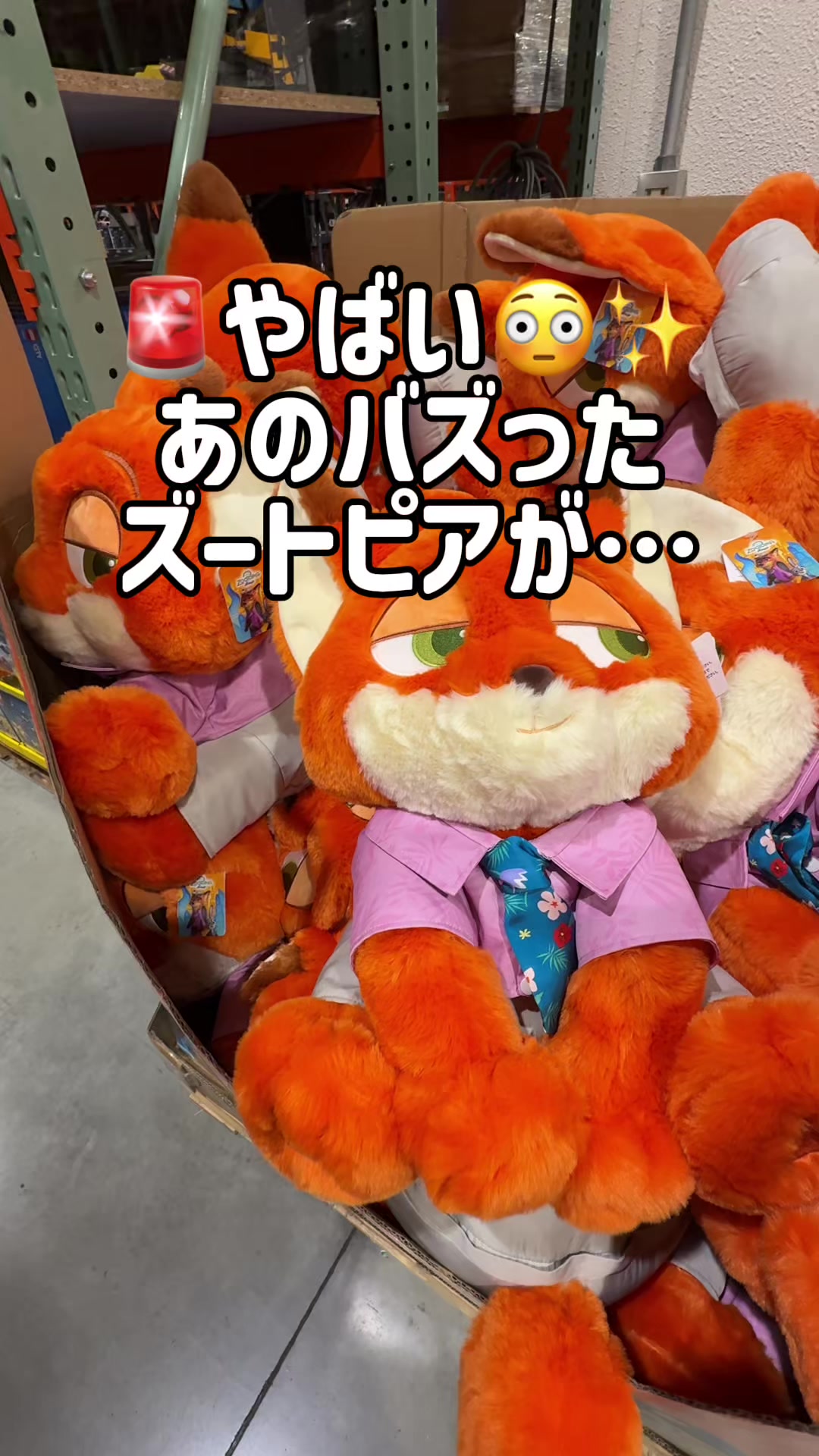 @毎日コストコに通う主婦🥤てこ