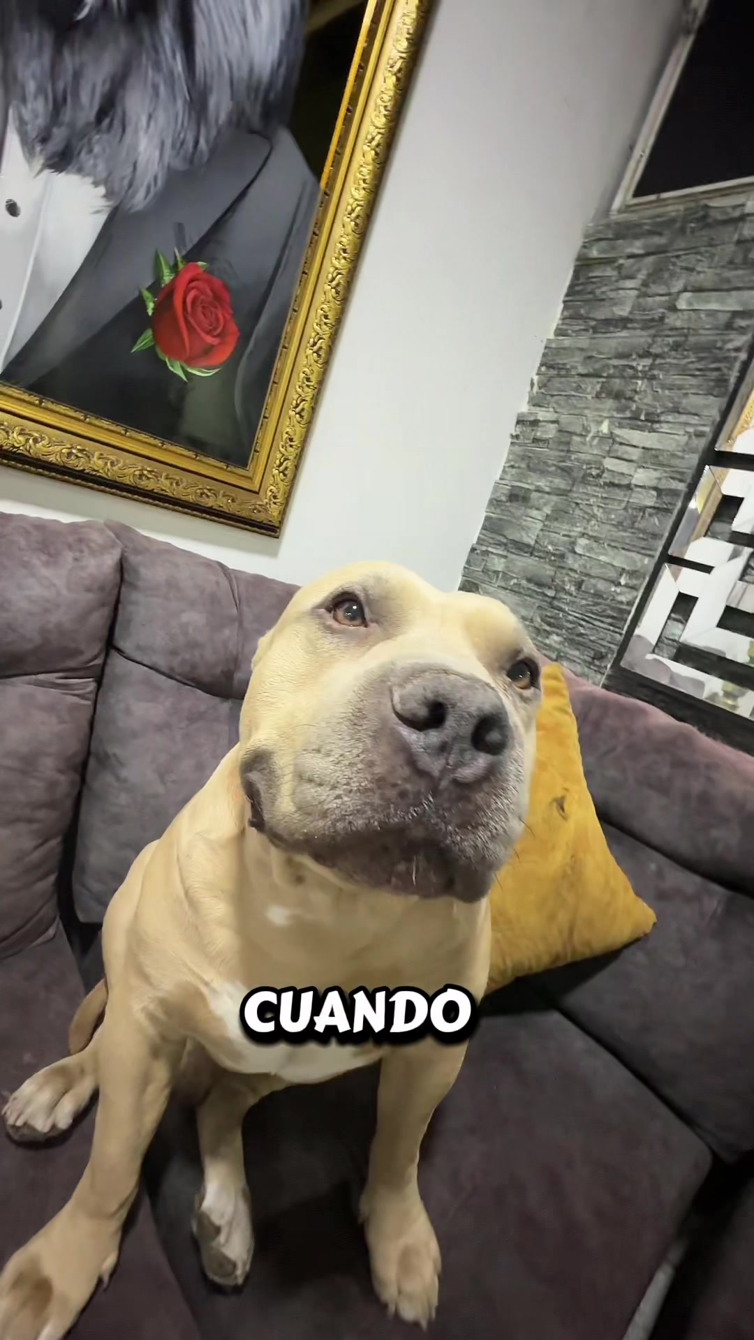 @Vikingo606