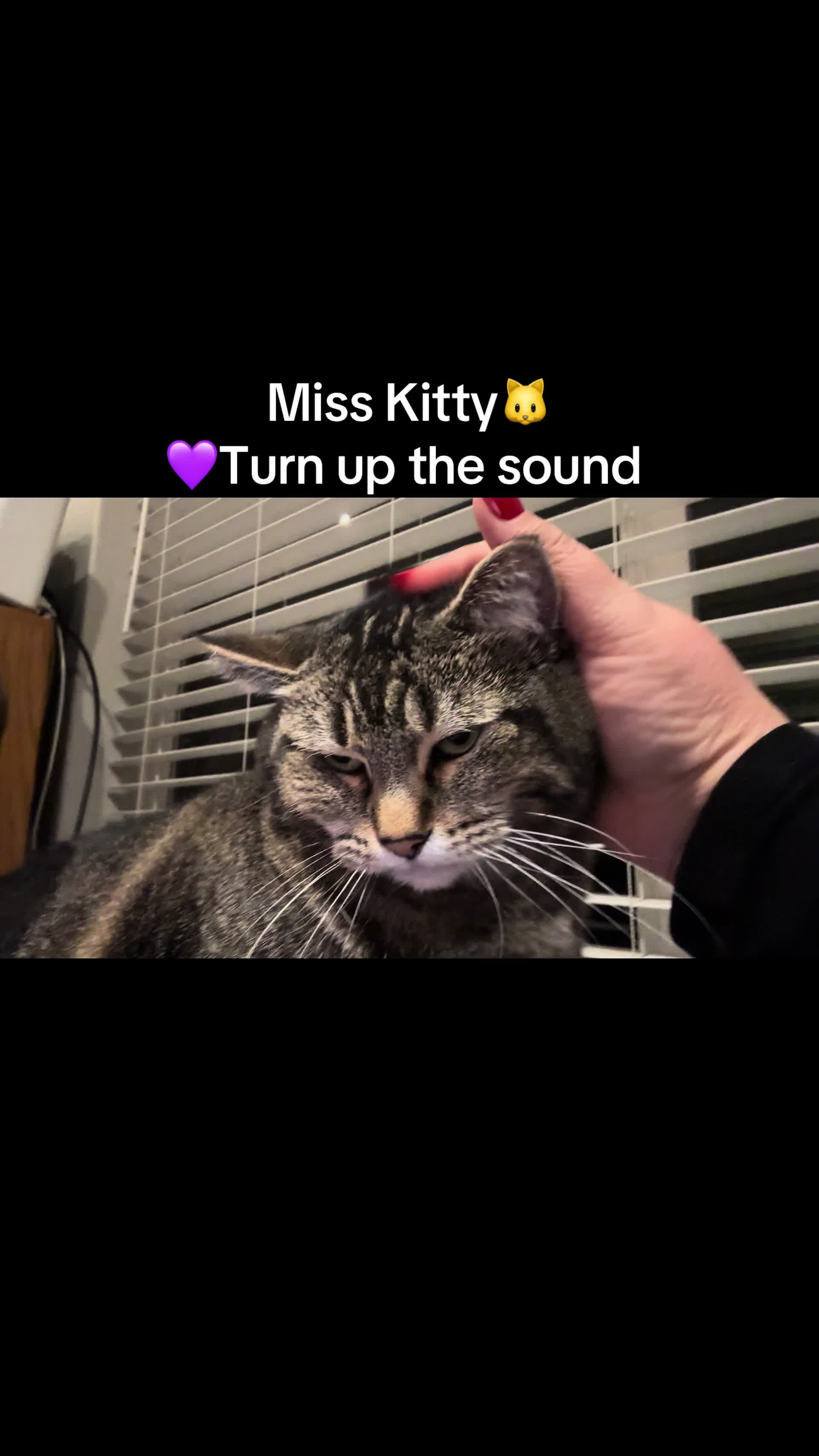 @Kelli 💜🤗