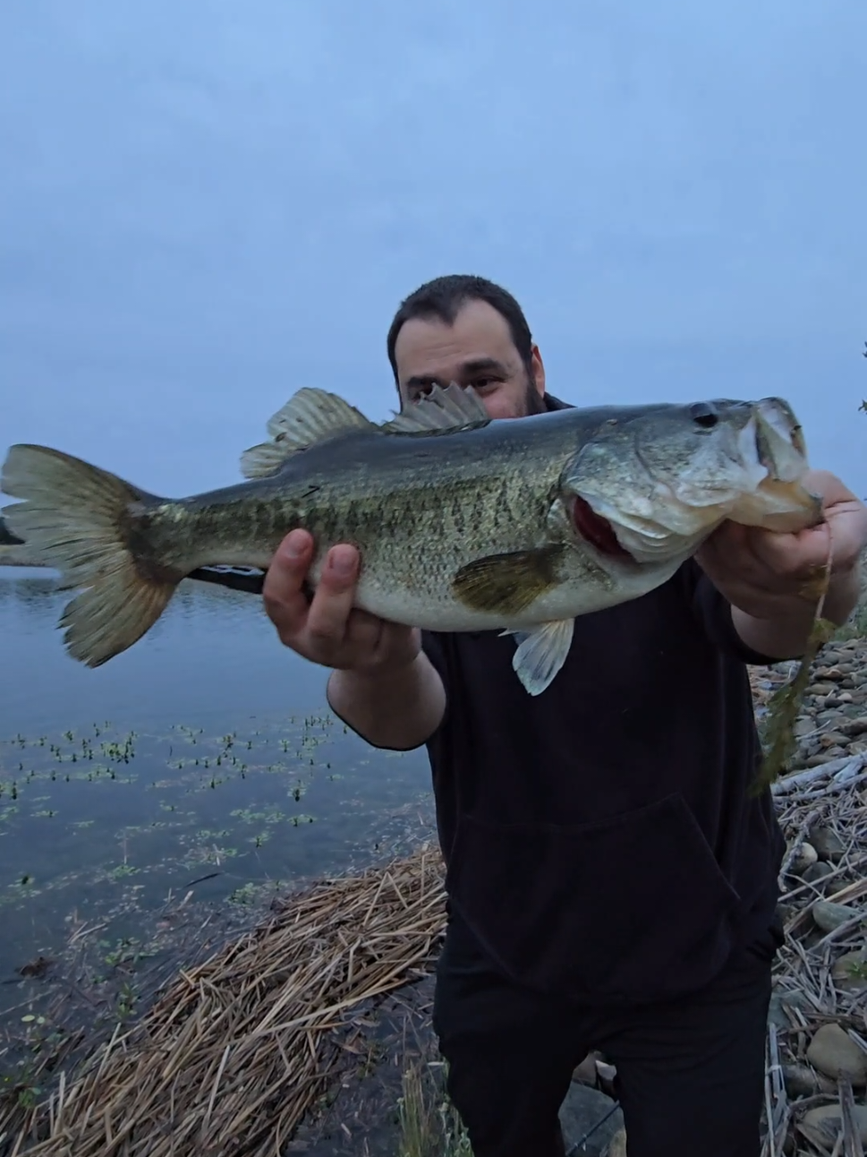 @SacPig Bait Co.