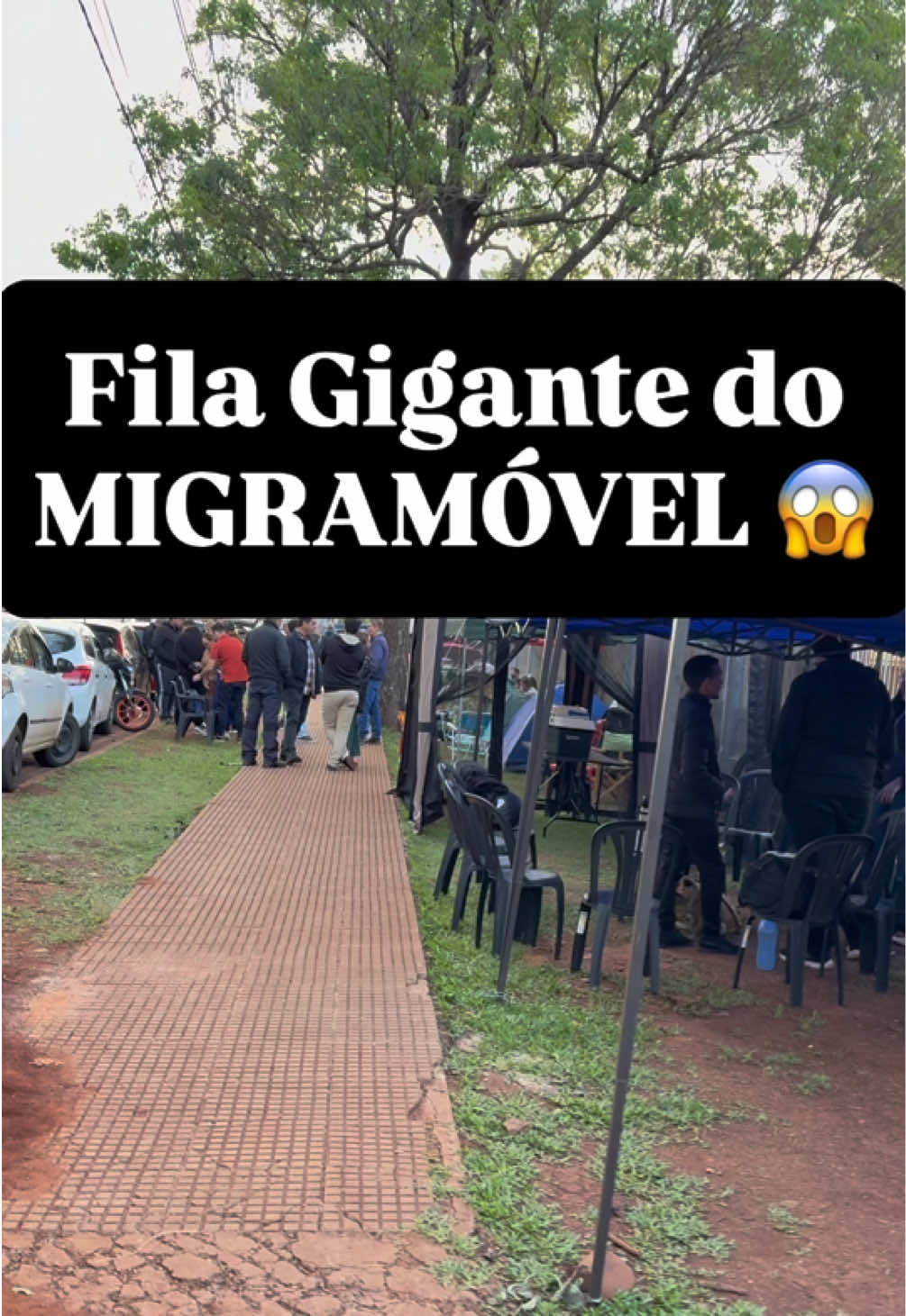 @Junior Pinha VivaParaguai🇵🇾