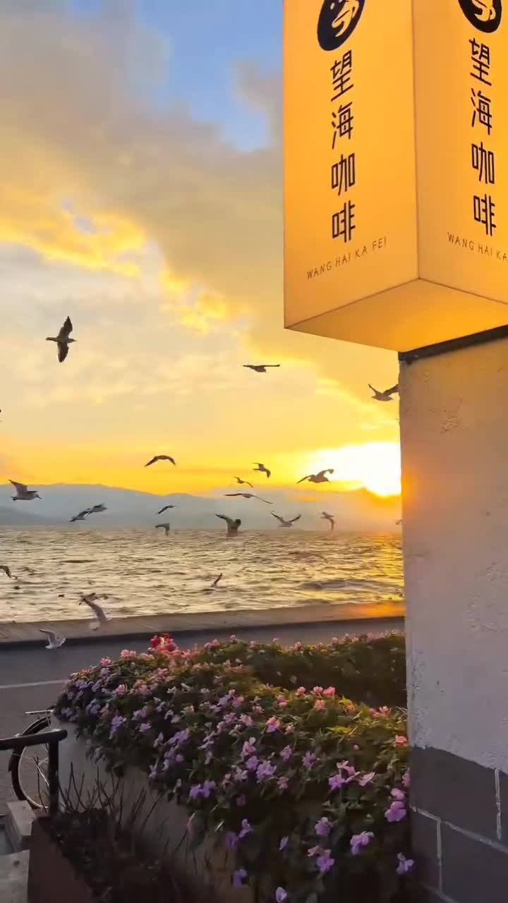 @GIF LOVER❤️