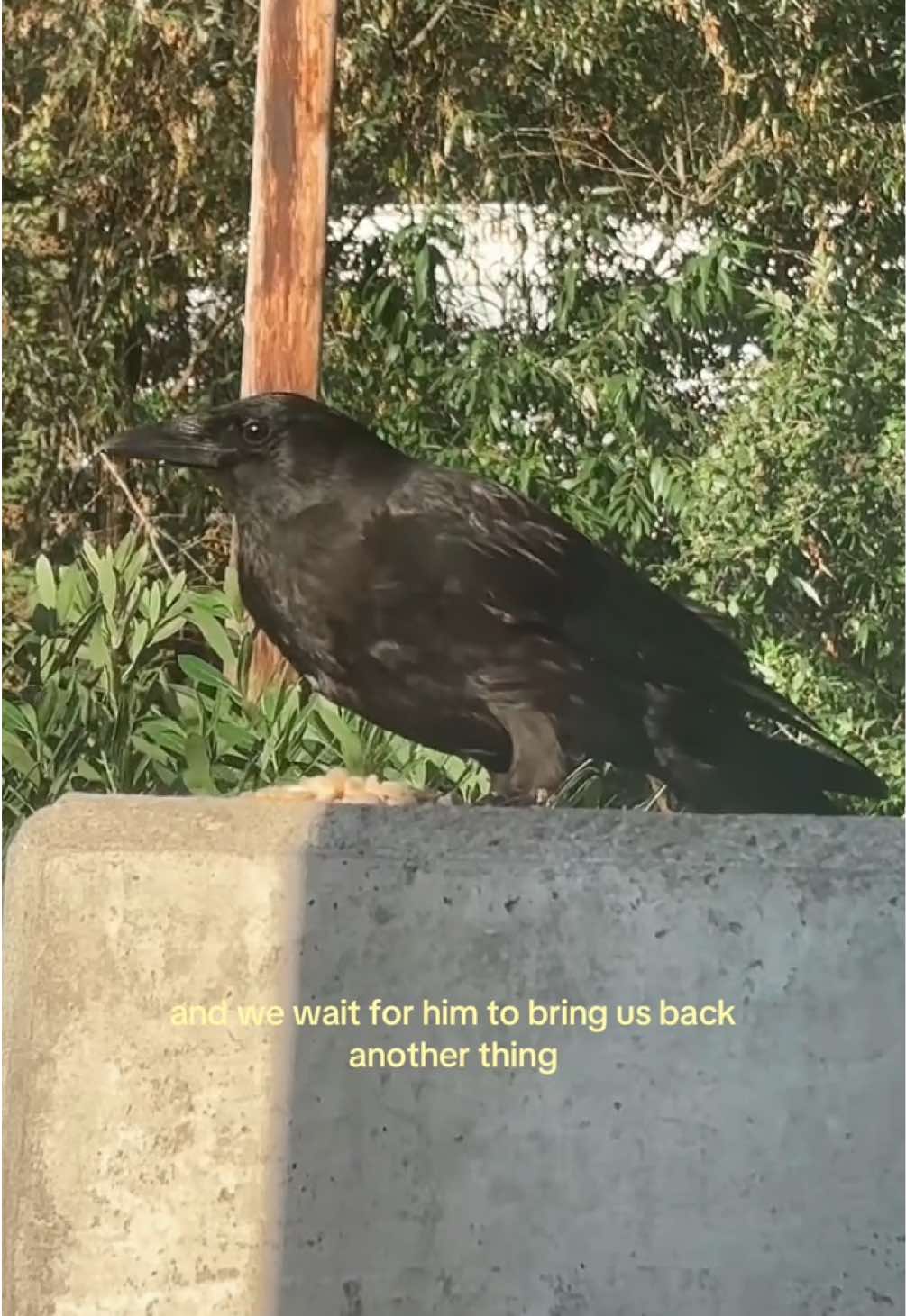 @Rain