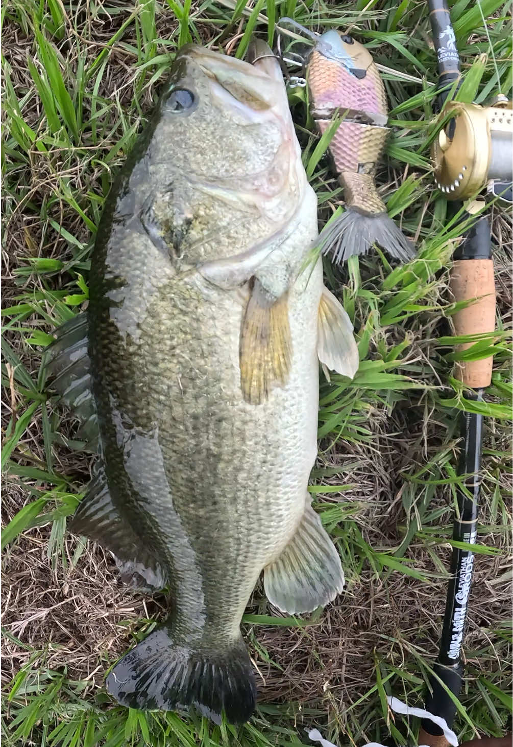 @TEXA$ WILD BOY🎣