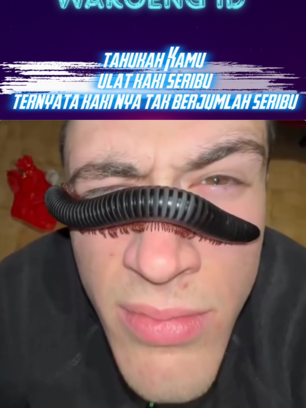 @waroeng.id