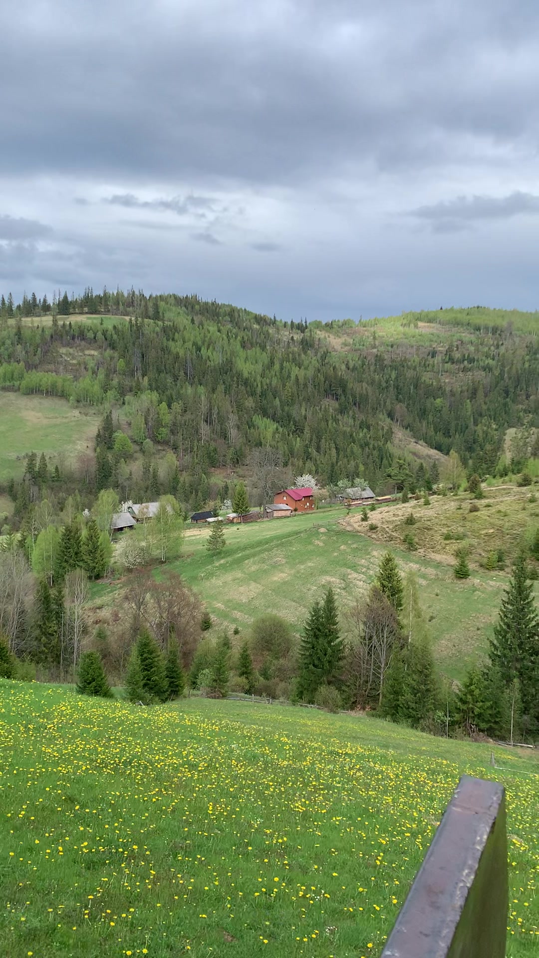 @vasil_piniv