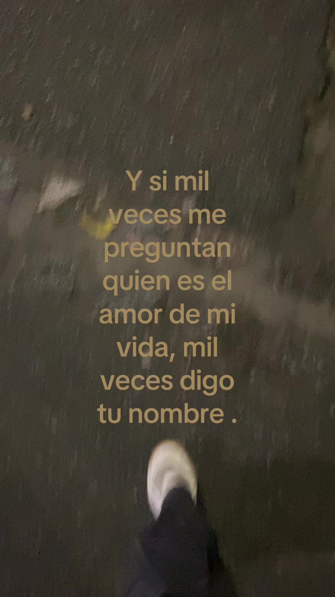@𝙉𝙤𝙨𝙤𝙮𝙨𝙚𝙧𝙚🤍🔝