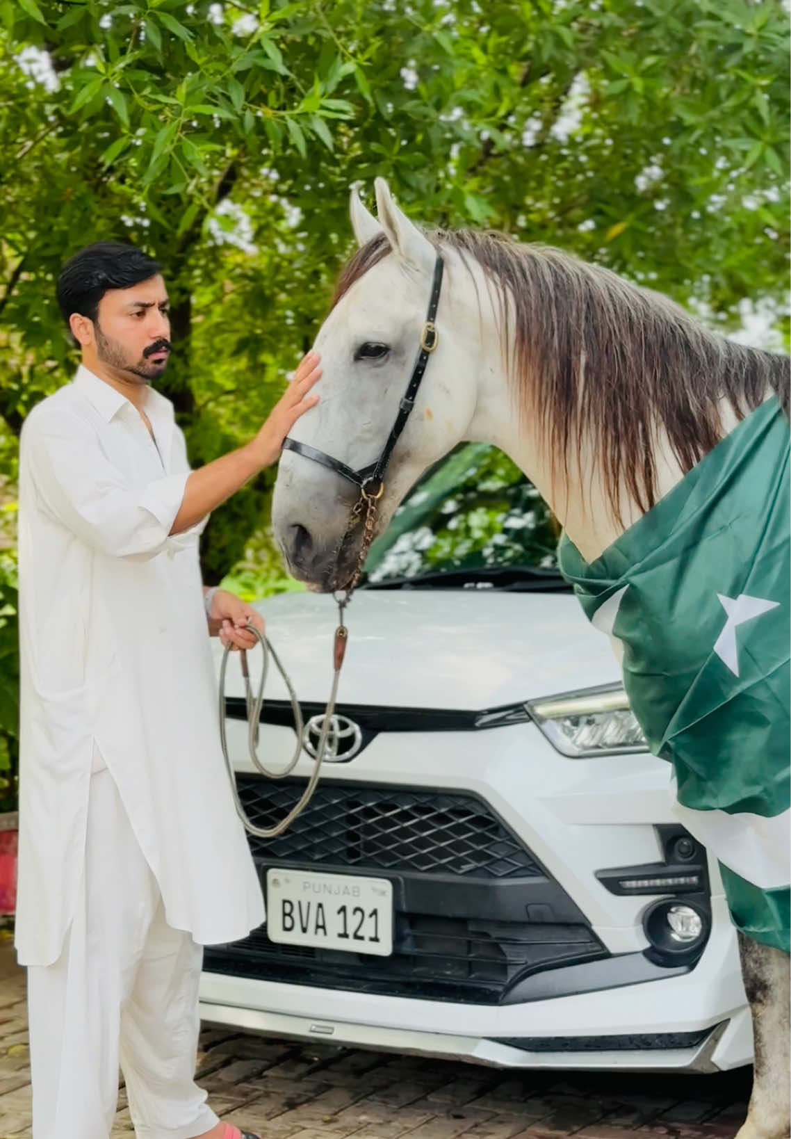 @ملک ابراھیم اعوان⚜️