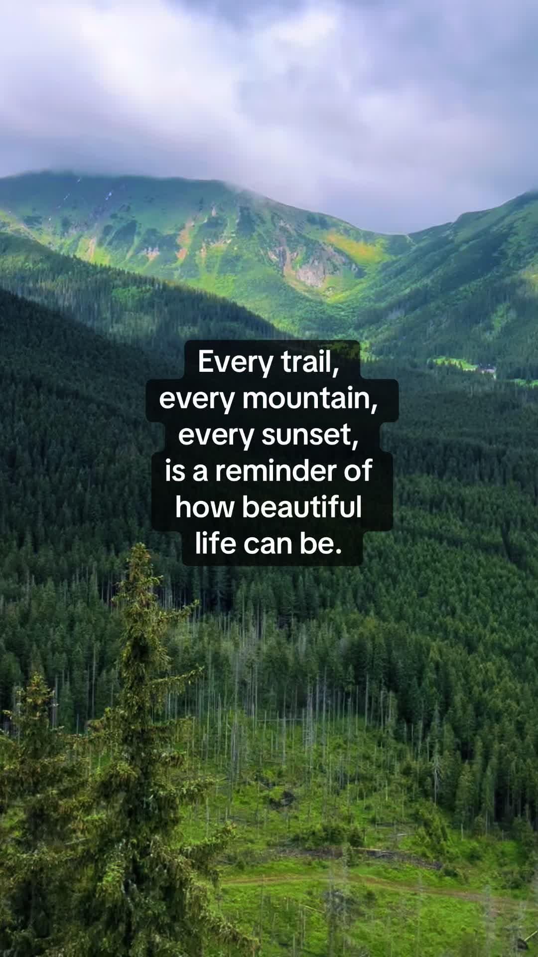 @Every Day Quotes