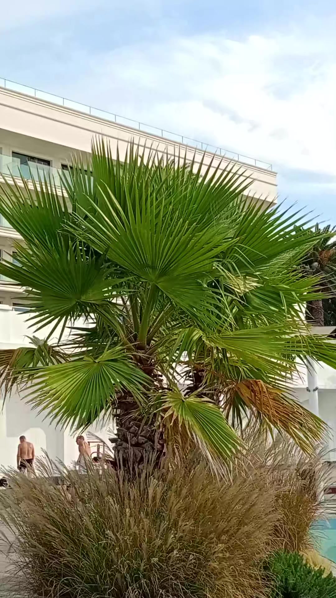 @natali79
