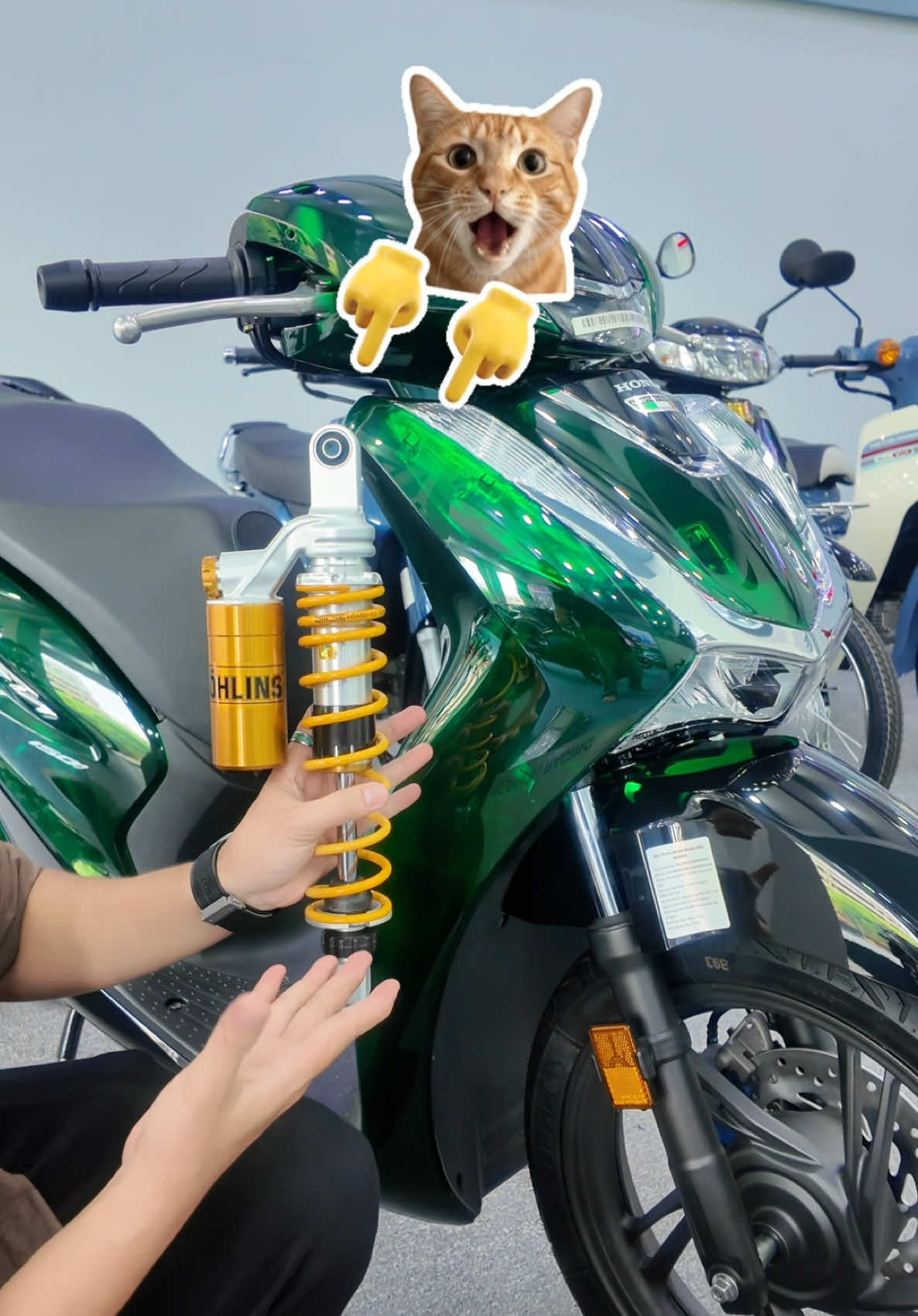 @Quốc Cường Cub House