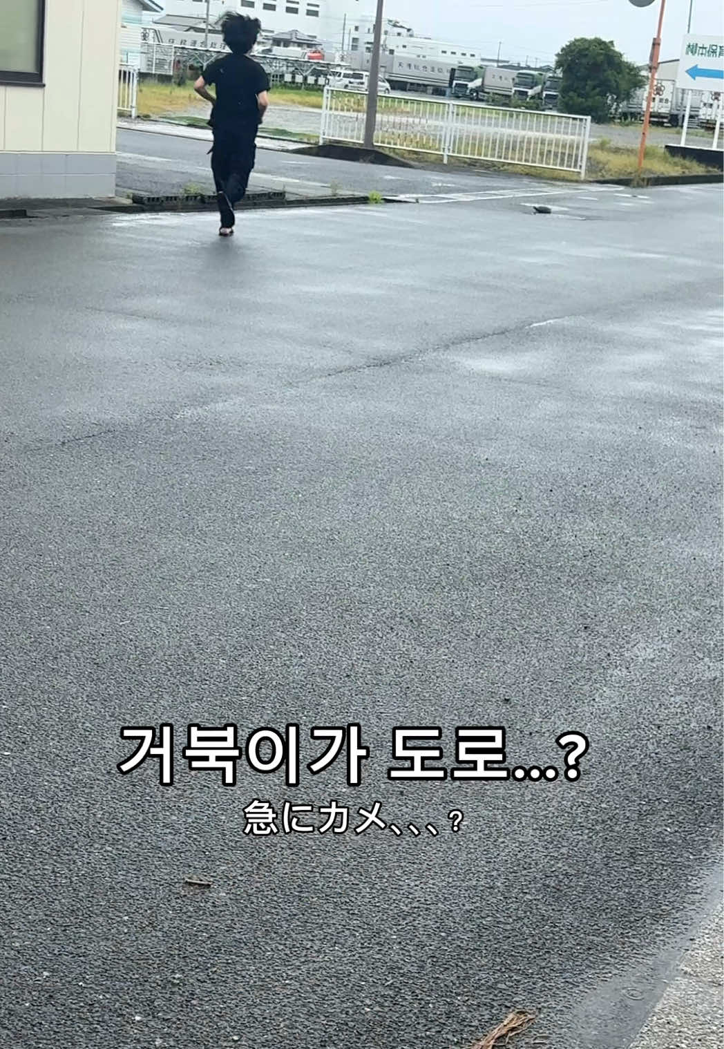 @좌두じゃどぅ