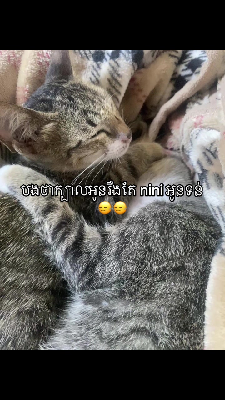 @ๅๅนด๐ณ๏ธ๐