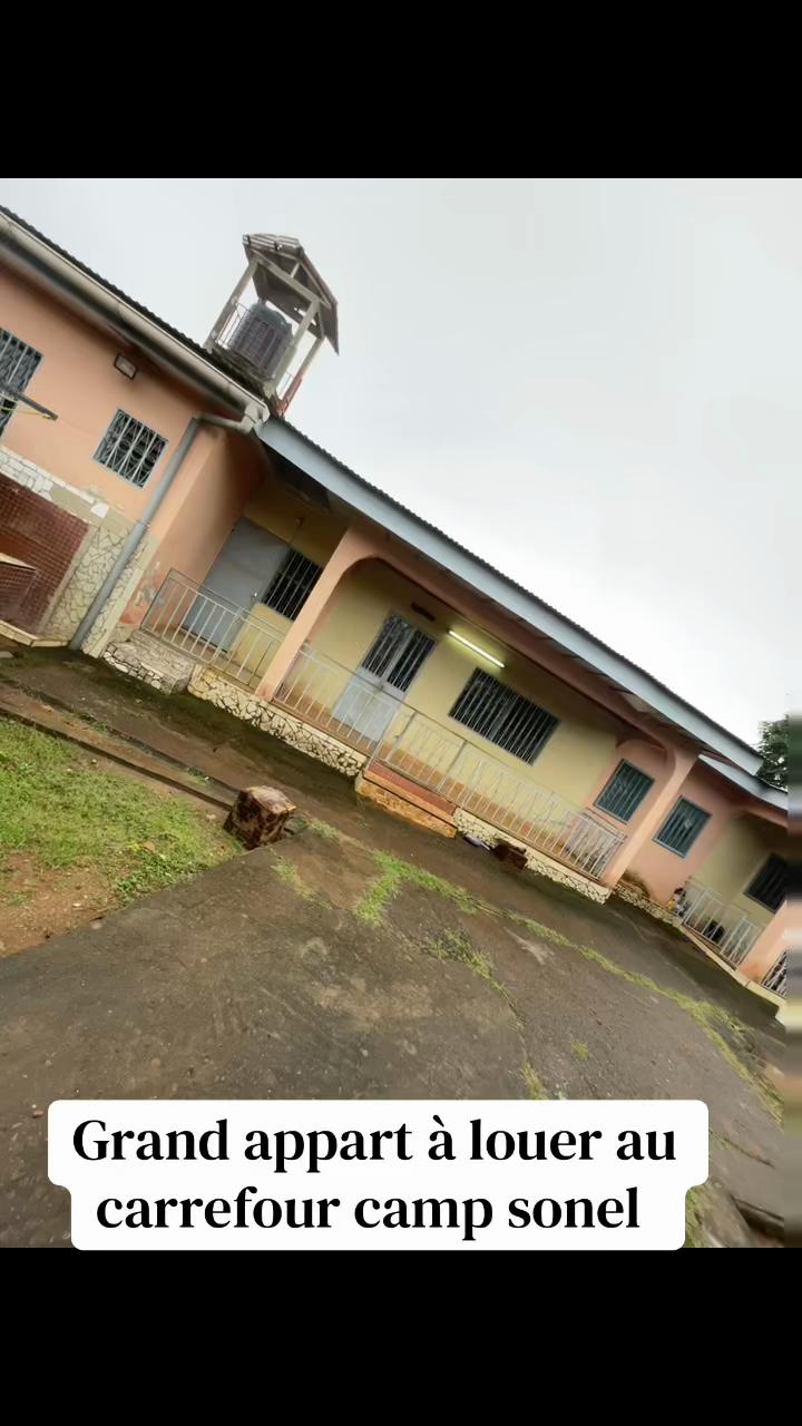 @DINO~IMMO~237🇨🇲🇨🇲