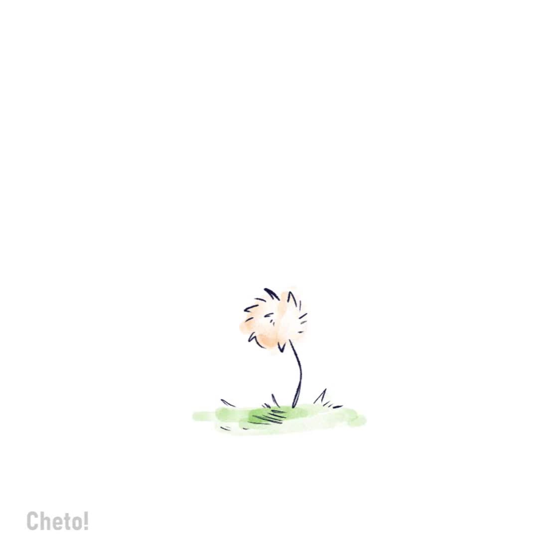 @Cheto!