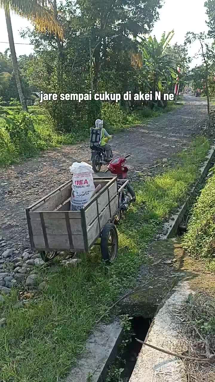 @JP farm