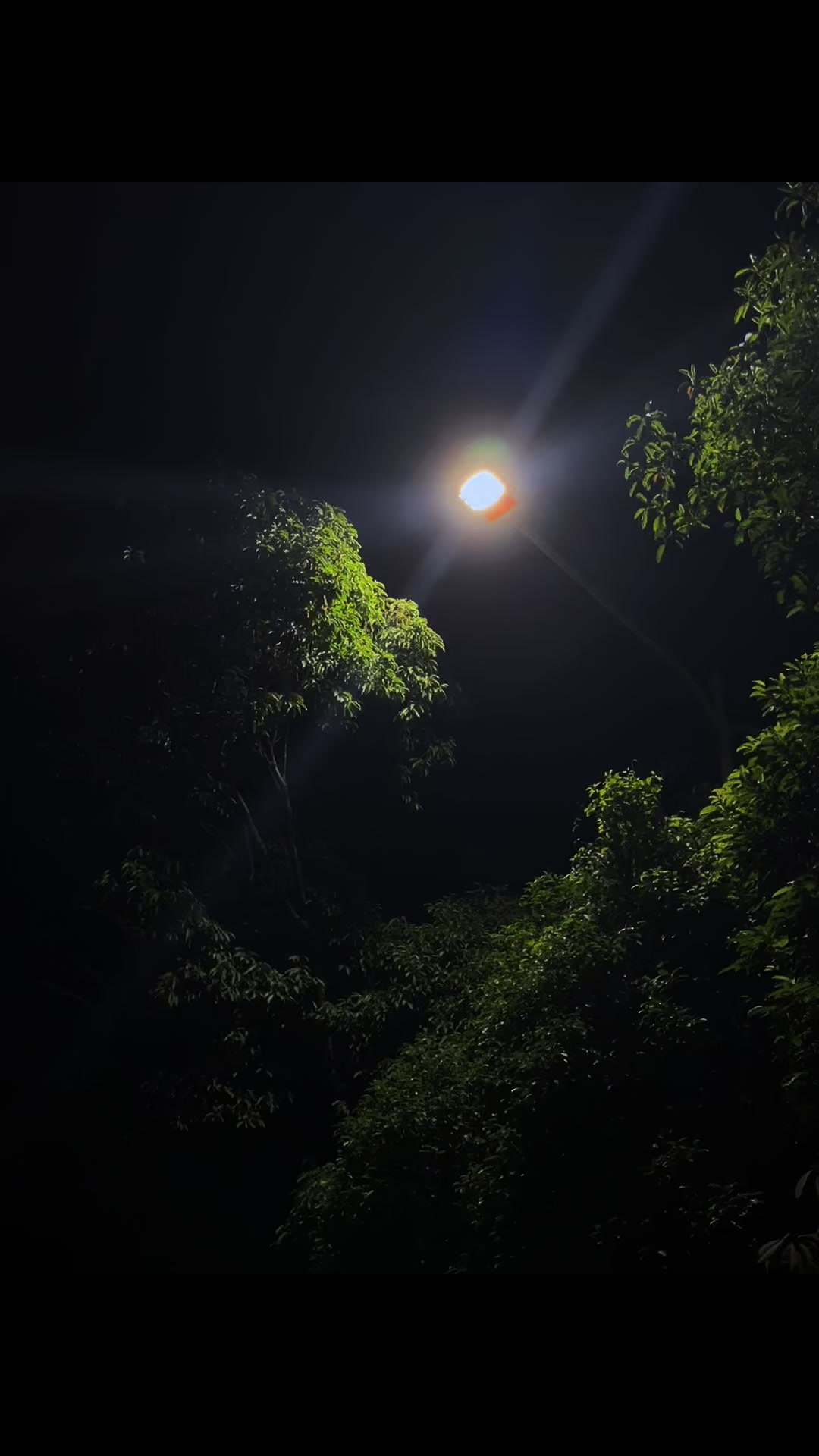 @𝗚𝗿𝗶𝗺𝗼𝗶𝗿𝗲