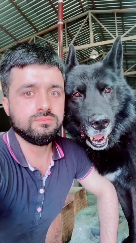 @Serkan