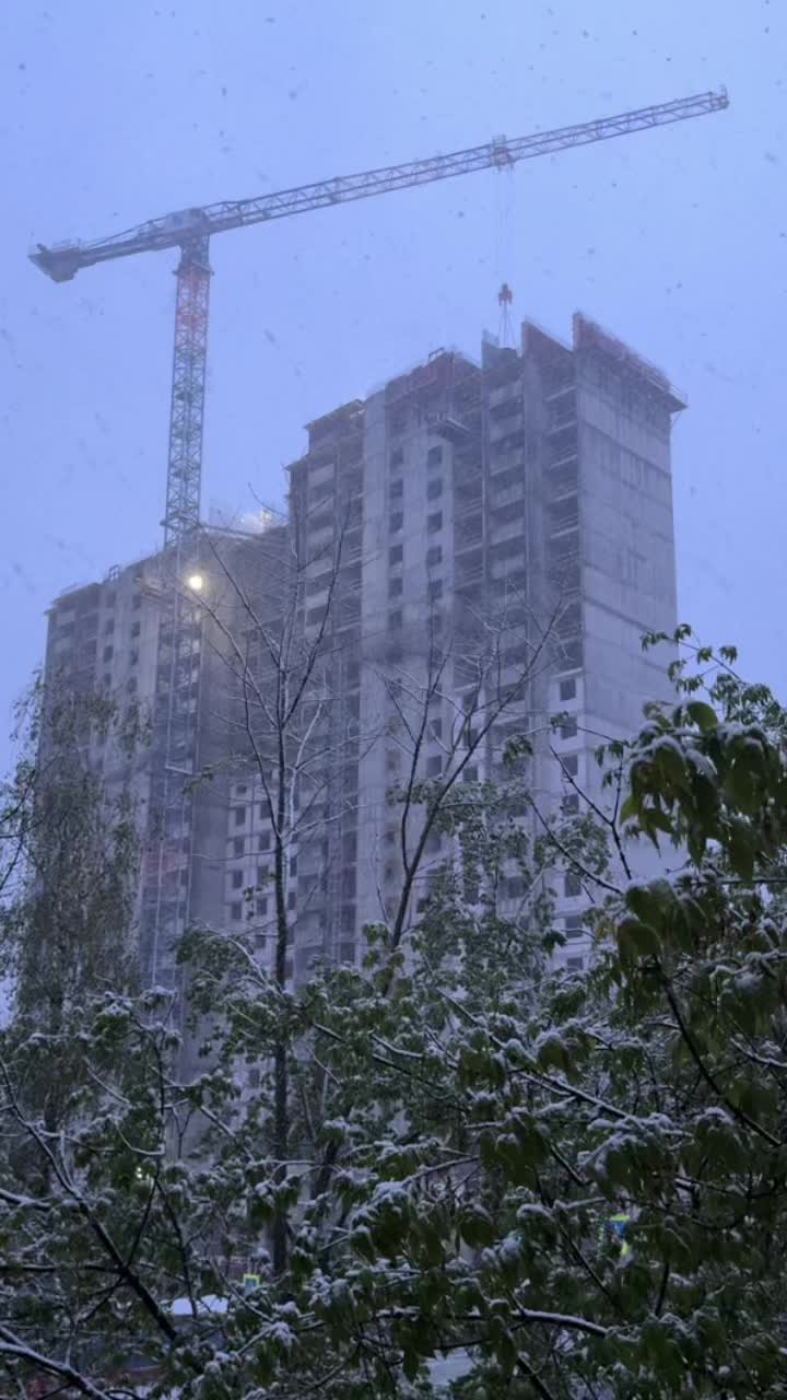 @звёздная мантия 🫩