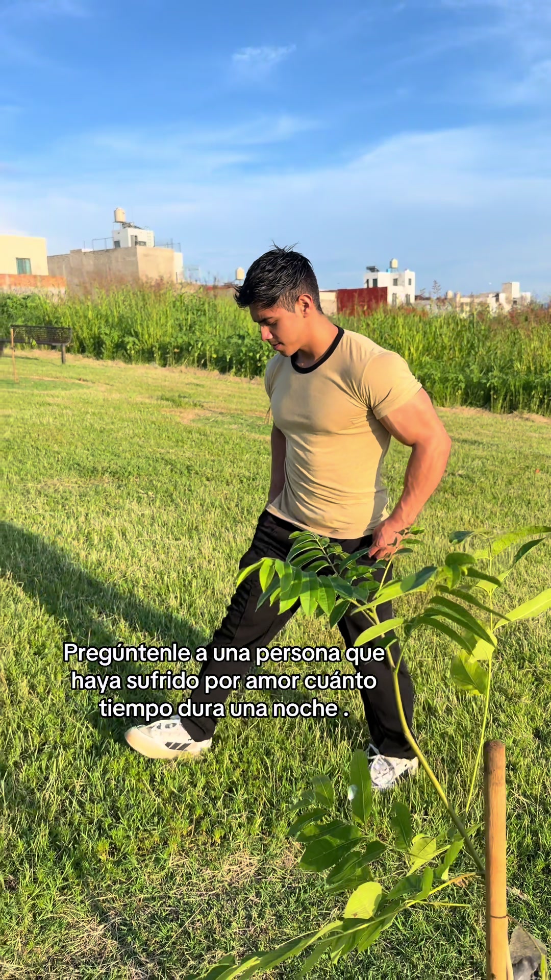 @roque Hernández
