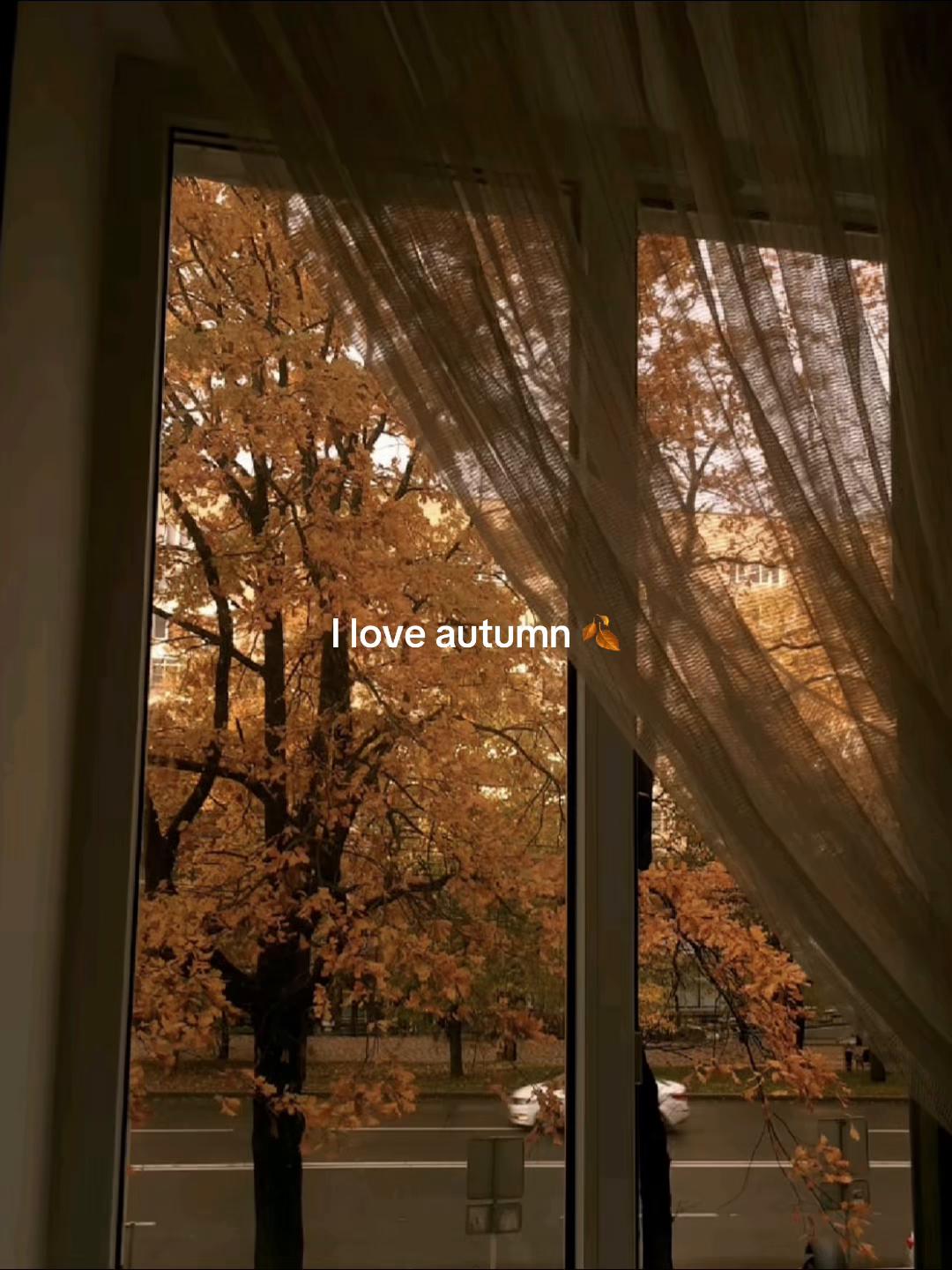 @spookyseasonftw